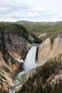 yellowstone national park falls