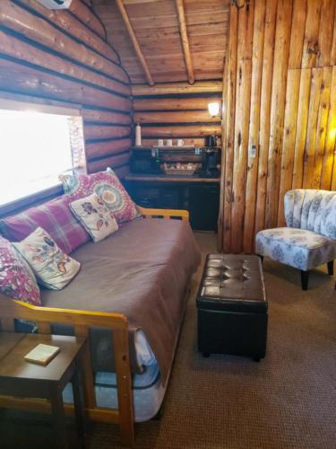 Cabin 2 Living Room 2